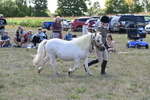 WJ6_4924