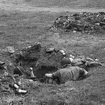 Yorkshire Wartime Experience