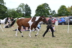 WJ6_6073
