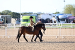 SBM_07826