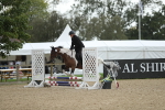 J26 - Senior Horse & Pony 45cm Championships portfolio