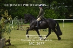 JAC_3677