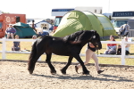 SBM_14055