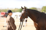 Class 406 - IH Hunter portfolio