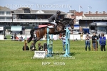 BPP_9036