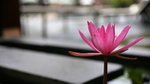 VIET_0629