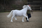 SBM_003938
