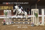 CLASS 5  0.95m Amateur Championship Qualifier portfolio
