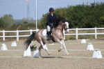SBM_020934
