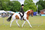 SBM_02475