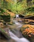 Fall at Libby