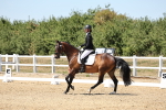 SBM_002599