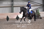 BPP_6627