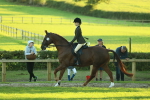SBM_56456