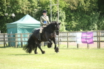 SBM_09615