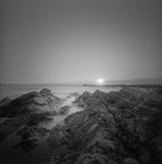 Jersey Coast 1