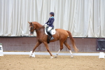 SBM_002271
