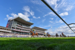 220825-Race 5-Cape Flora-9470