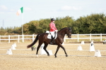 SBM_008687