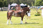 SBM_15561
