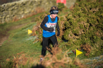 Sale Fell-71