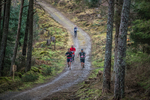 Glentress-2591