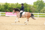 SBM_006459