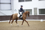 SBM_007184