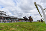Race 3 15.10pm Sky Bet For The Fans Handicap portfolio