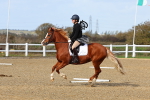 SBM_000981