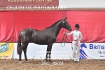 JAC_4834