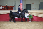 SBM_18739