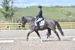 BPP_9511