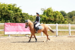 SBM_002157