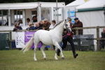 SBM_09798