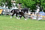 SBM_08026