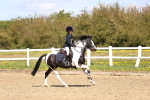 SBM_001201
