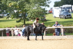 SBM_64587