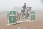 Cls 40 Academy Individual Horse 90cm portfolio