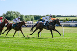 080726-Race 6-Velvet Rhythm-7797