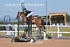 BPP_1286