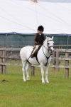 SBM_09539