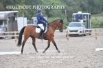 BPP_6161