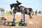 Cls 30 Foxhunter portfolio