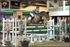 equiscot 3281greg taylor anuschka gold