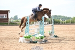 Cls 29 Snr Foxhunter portfolio