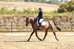 SBM_000709