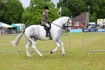 SBM_02490