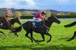 251025-Race 2-Minella Supreme-7789