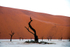 Deadvlei 2